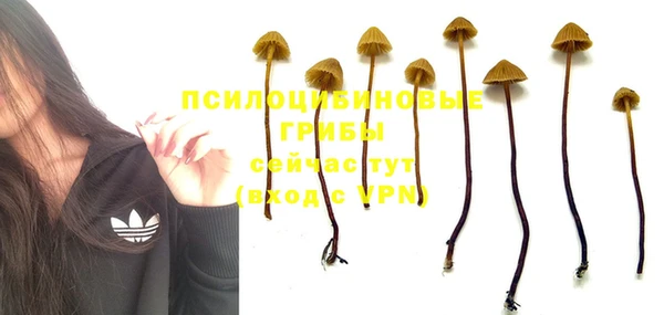героин Карпинск