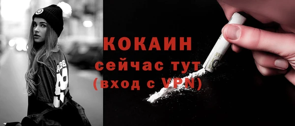 гашик Касимов