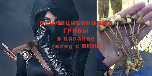 PSILOCYBIN Карталы