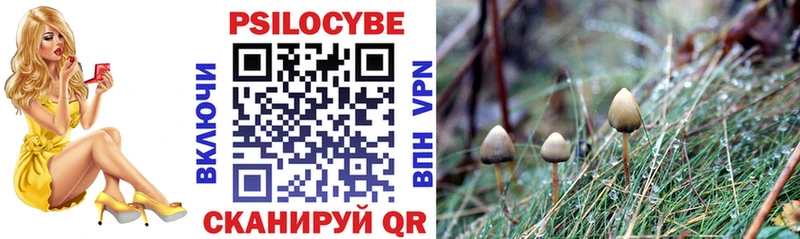 Купить Нарьян-Мар Псилоцибиновые грибы мицелий